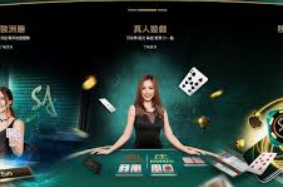 探究真人视讯的源骊与发展趋势