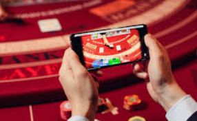 真人视讯，走进百科的新视界