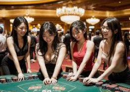 引入高清现实世代，洞悉新的通信纬度 手机真人视讯聊天室概览