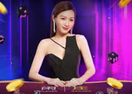 德州扑克与美女荷官—扑克里的一段奇幻经历