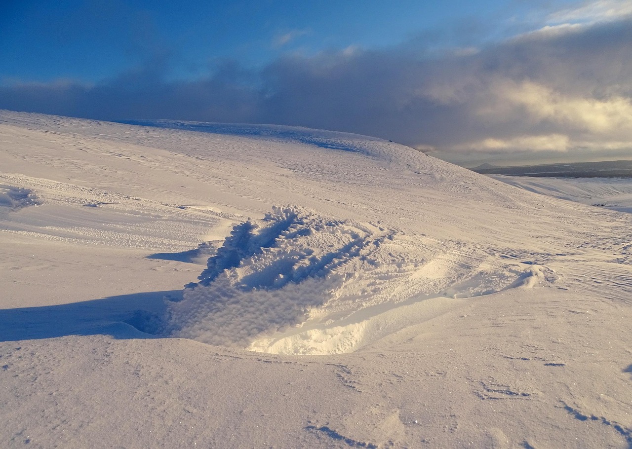 真我斗志之路—WE真人游戏的真实旅程与人文精神展望